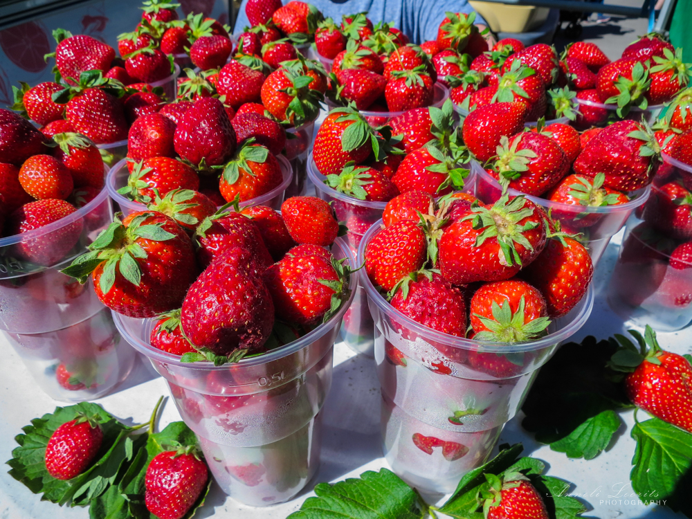 maasikad suvi